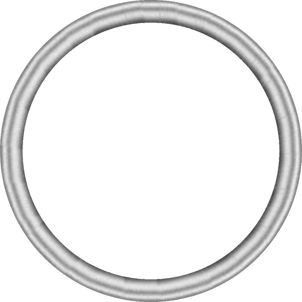 Target Slot Lock Shaft Ring