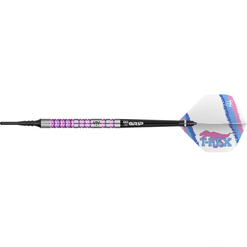 Bull's DE Michael Unterbuchner Challenger Soft Tip Darts 90%