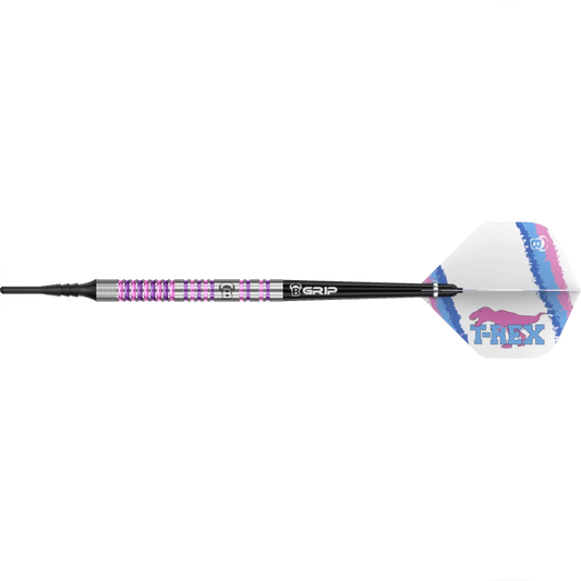 Bull's DE Michael Unterbuchner Challenger Softdart 90%