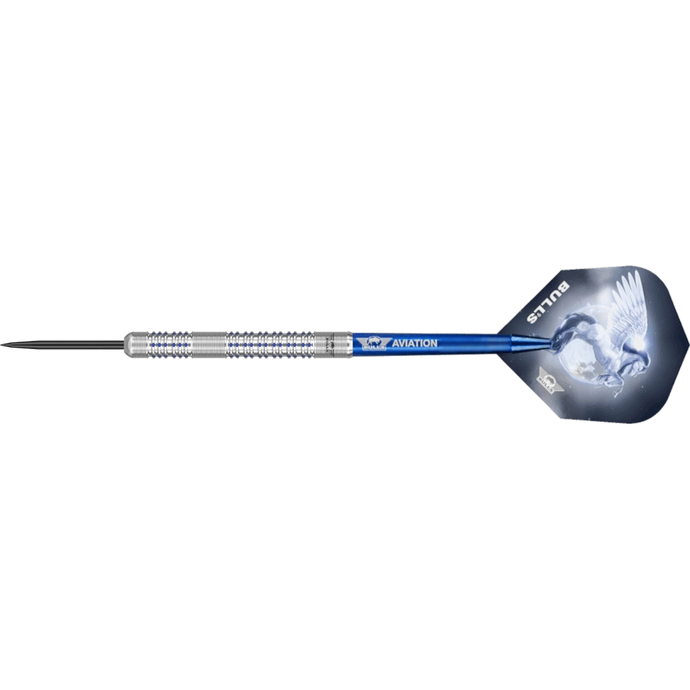 Bull's NL Blue Pegasus B Steeldart 95%