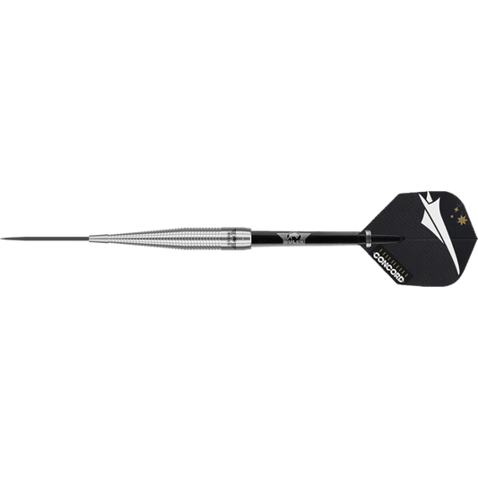 Bulls NL Concord Steel Dart 80%