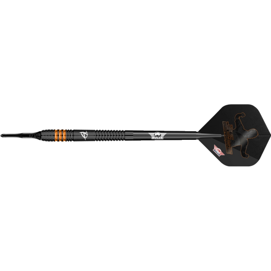 Bull's NL Dirk van Duijvenbode E2 Softdart 90%