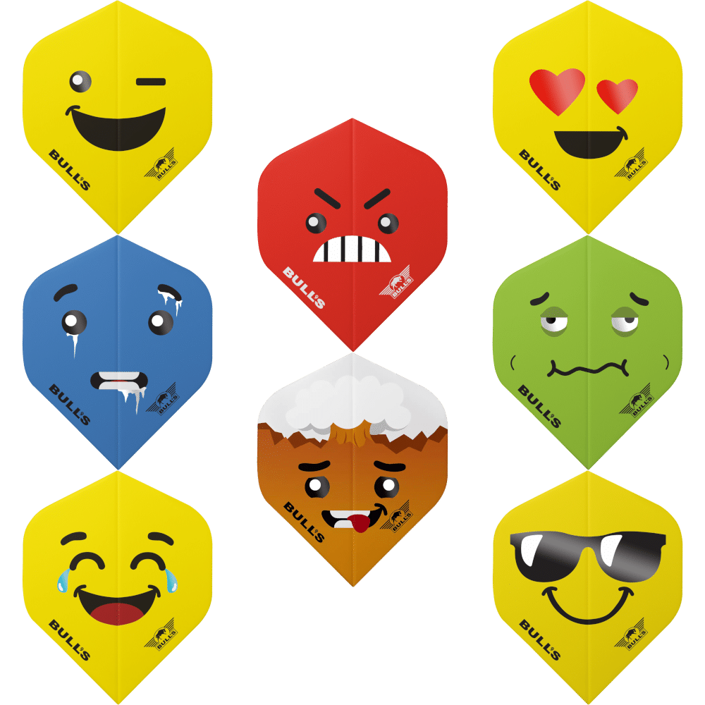 Bull's NL Smiley Standard Flight