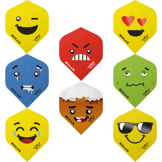 Bull's NL Smiley Standard Flight