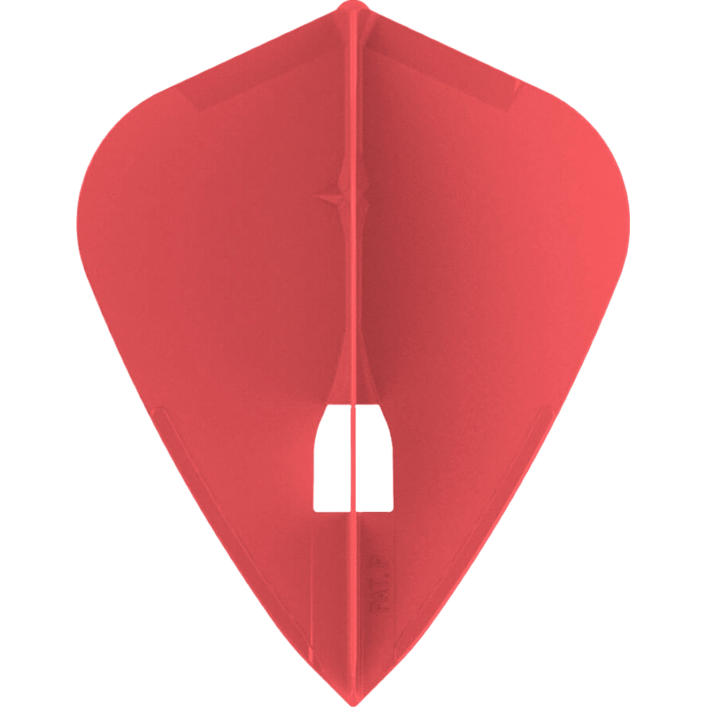 L-Style Champagne Pro L4 Kite Flight