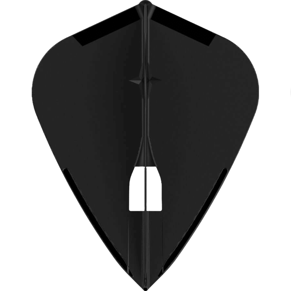 L-Style Champagne Pro L4 Kite Flight