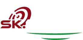 SK Darts