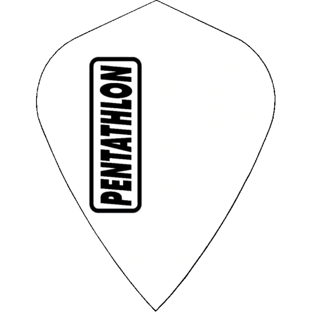 Pentathlon HD100 Kite Flight