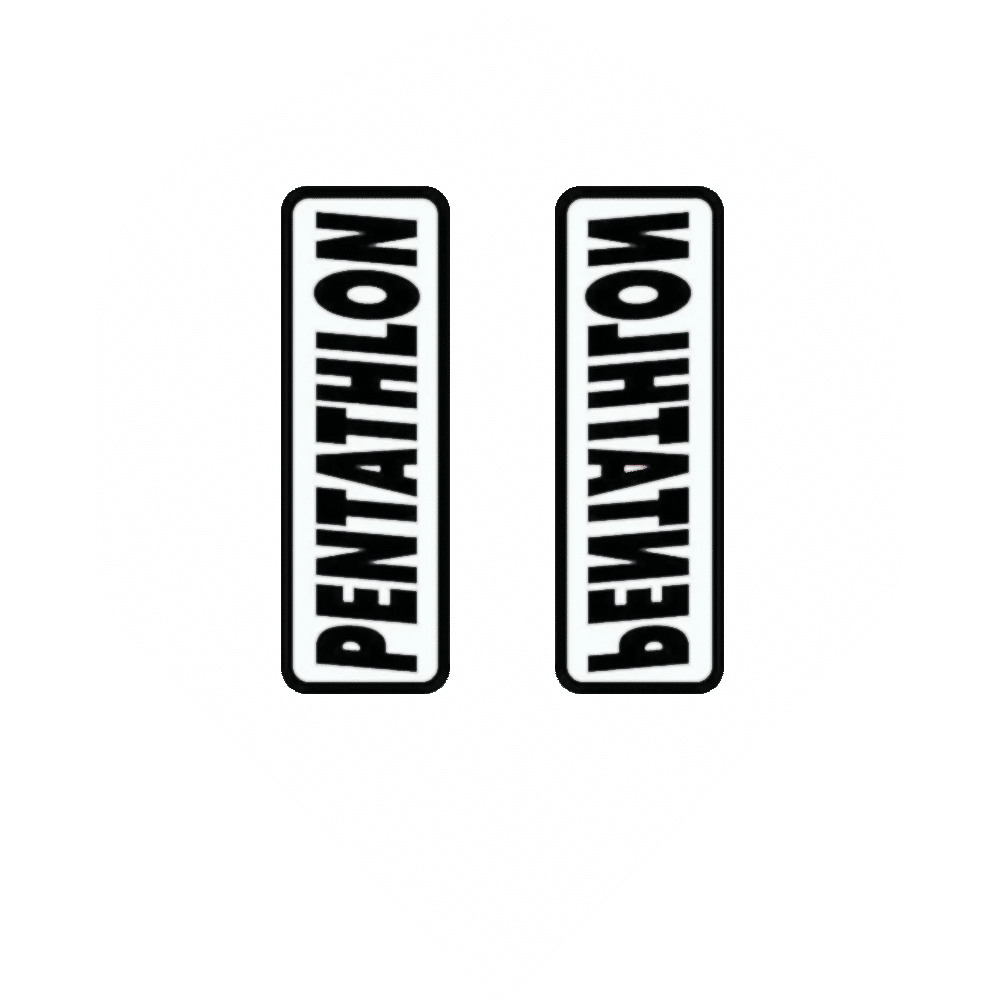 Pentathlon HD100 Standard Flight