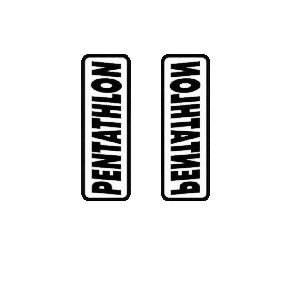 Pentathlon HD100 Standard Flight