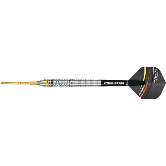 Precise 180 Ricardo Pietreczko Steeldart 90%