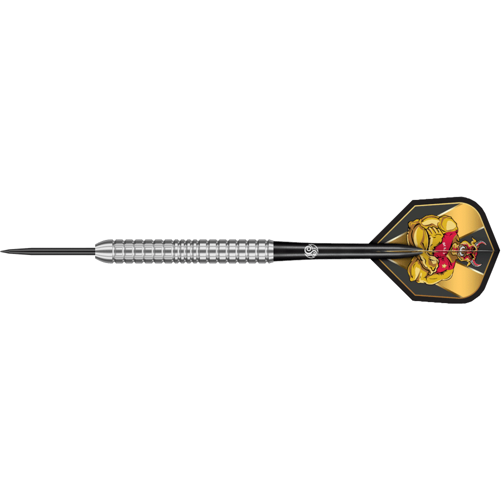 Shot Michael Smith Precision Steeldart 80%