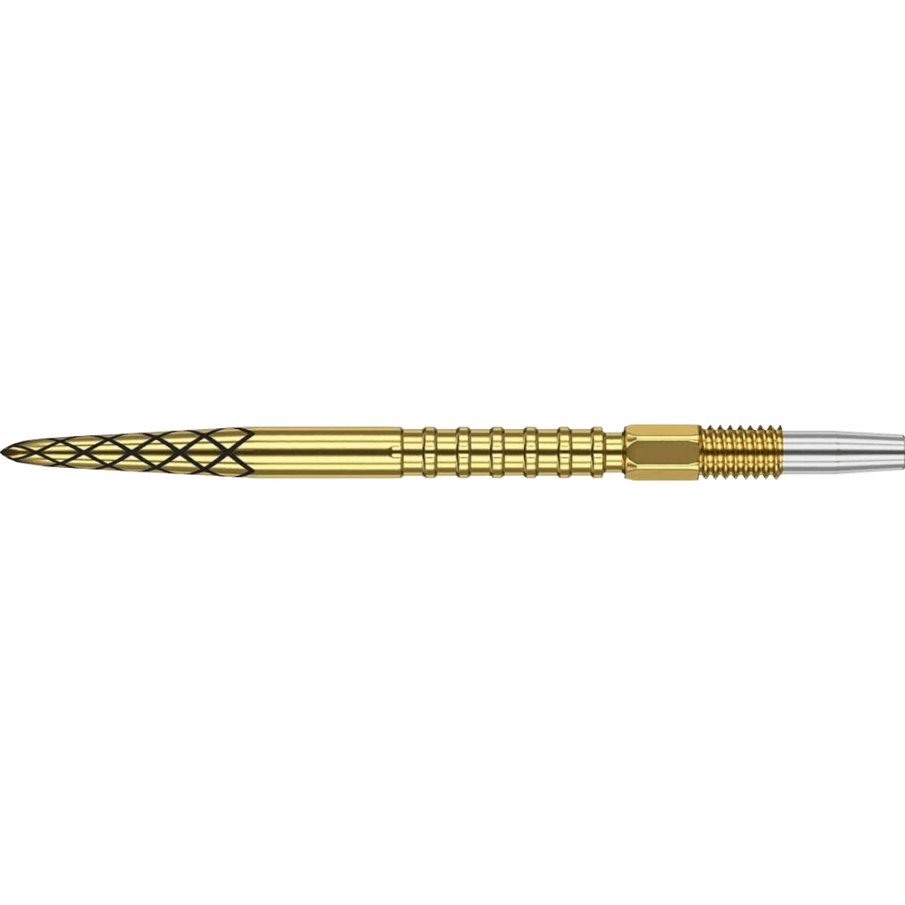 Target DS Swiss Point Gold