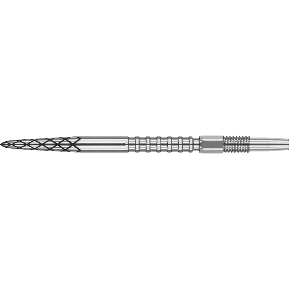 Target DS Swiss Point Silber