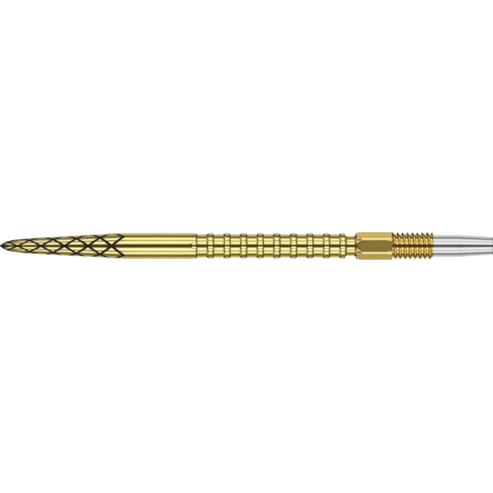 Target DS Swiss Point Gold