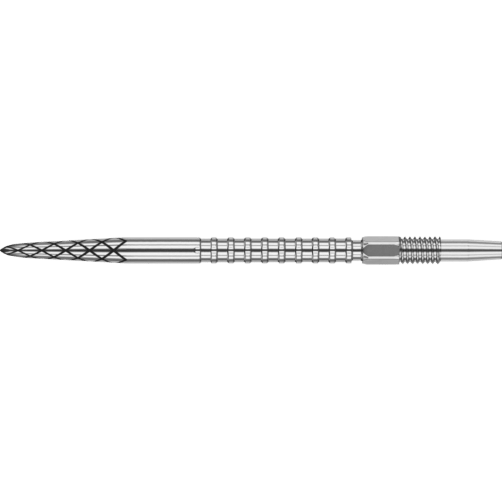 Target DS Swiss Point Silber