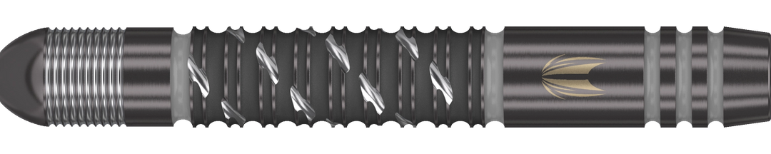 Target Dimitri van den Bergh G2 x Echo Swiss Point Steeldart 90%