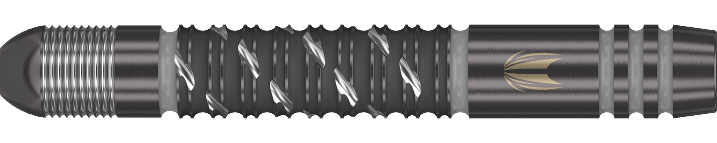 Target Dimitri van den Bergh G2 x Echo Swiss Point Steeldart 90%