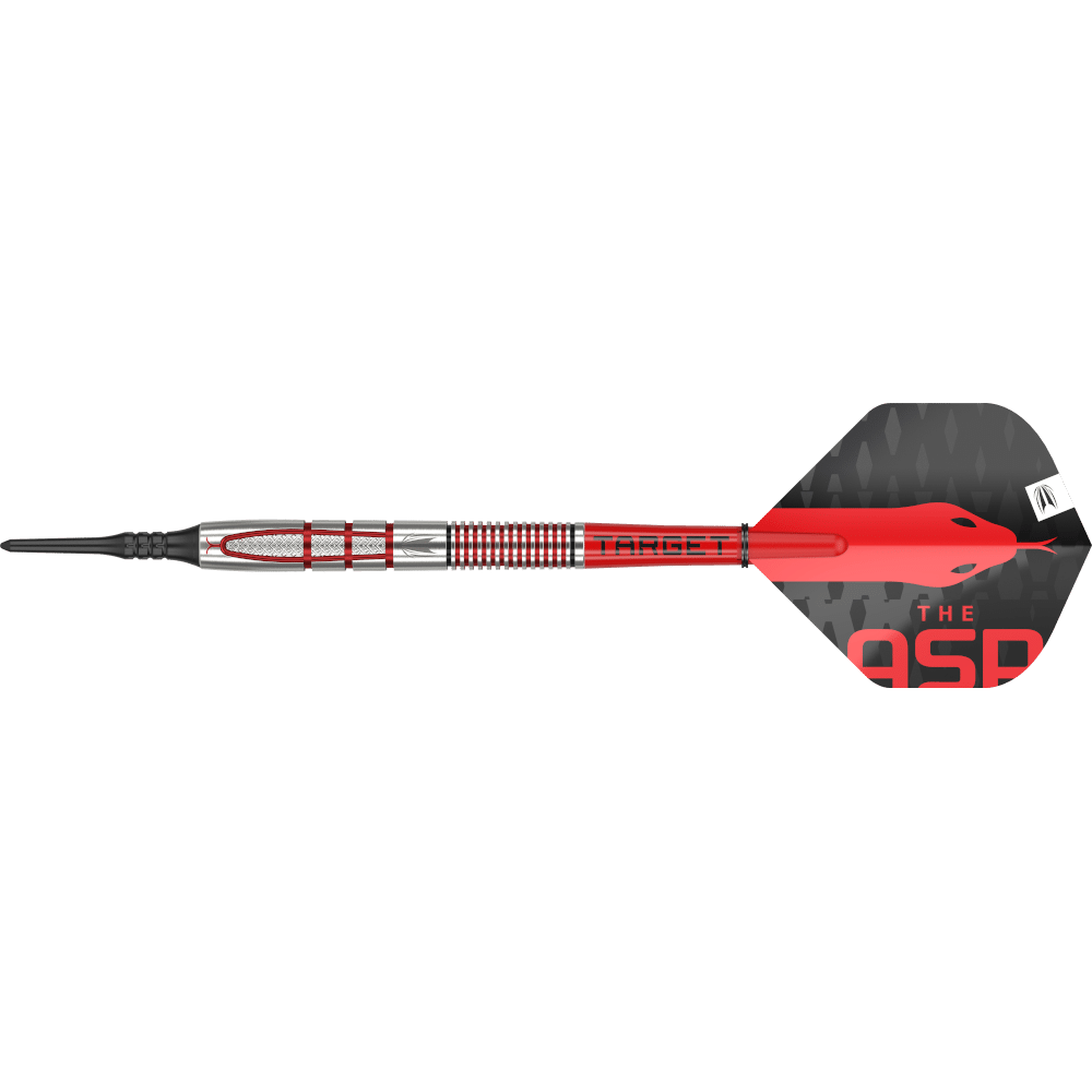 Target Nathan Aspinall G2 Softdart 95%