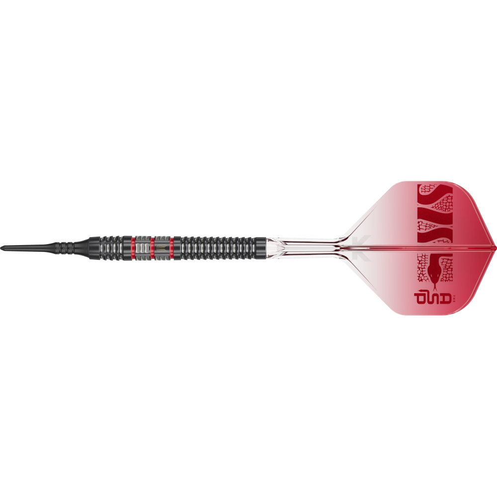 Target Nathan Aspinall 95K Softdart 95%