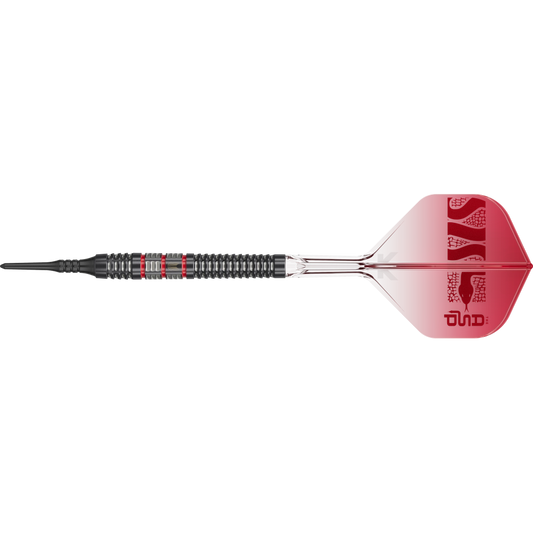 Target Nathan Aspinall 95K Softdart 95%