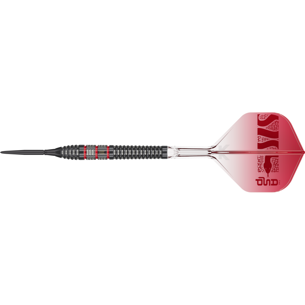 Target Nathan Aspinall 95K Swiss Point Steeldart 95%