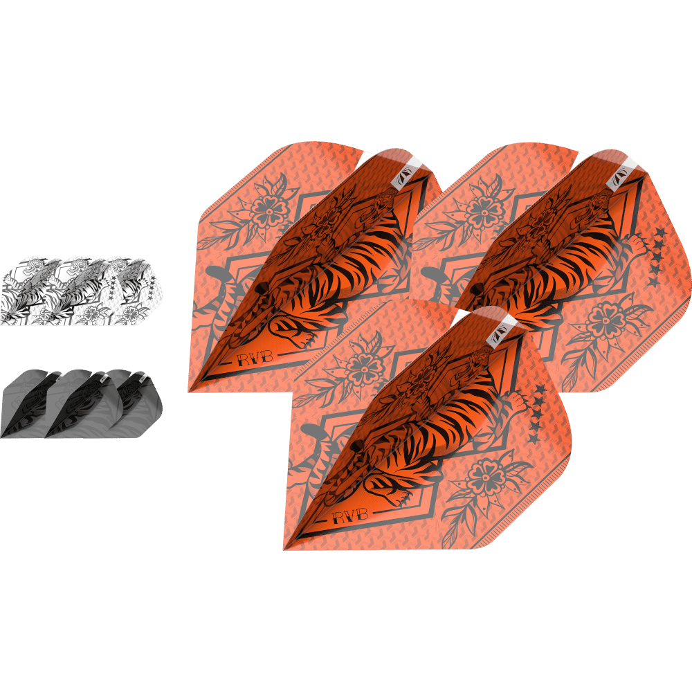 Target Ink Bundle Raymond van Barneveld Flight (9 Stück)