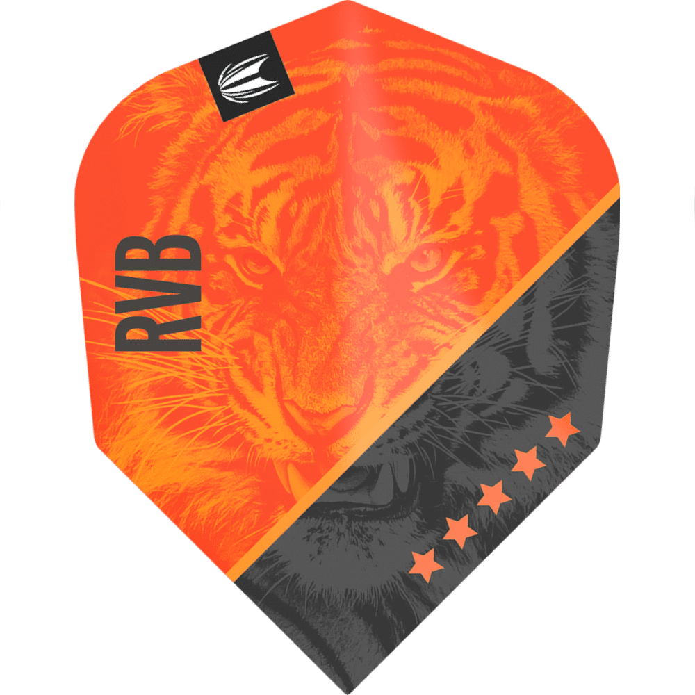 Target Pro Ultra Raymond van Barneveld G4 Small Standard Flight