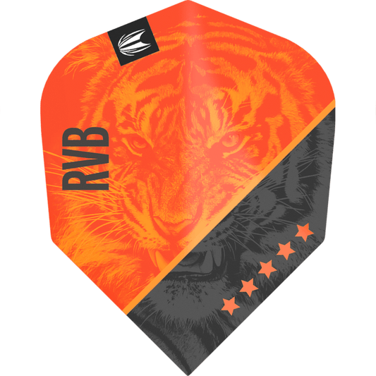 Target Pro Ultra Raymond van Barneveld G4 Small Standard Flight
