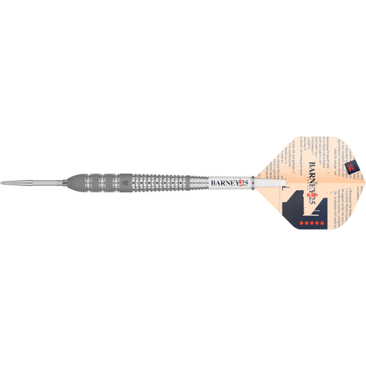 Target Raymond van Barneveld BARNEY25 Swiss Point Steeldart 95%