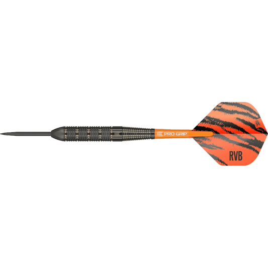 Target Raymond Van Barneveld Steeldart Brass