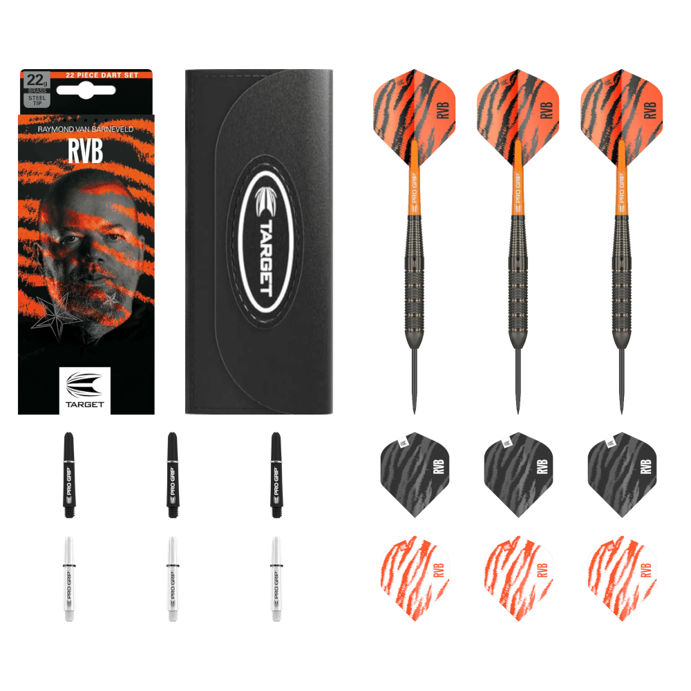 Target Raymond Van Barneveld Steeldart Brass