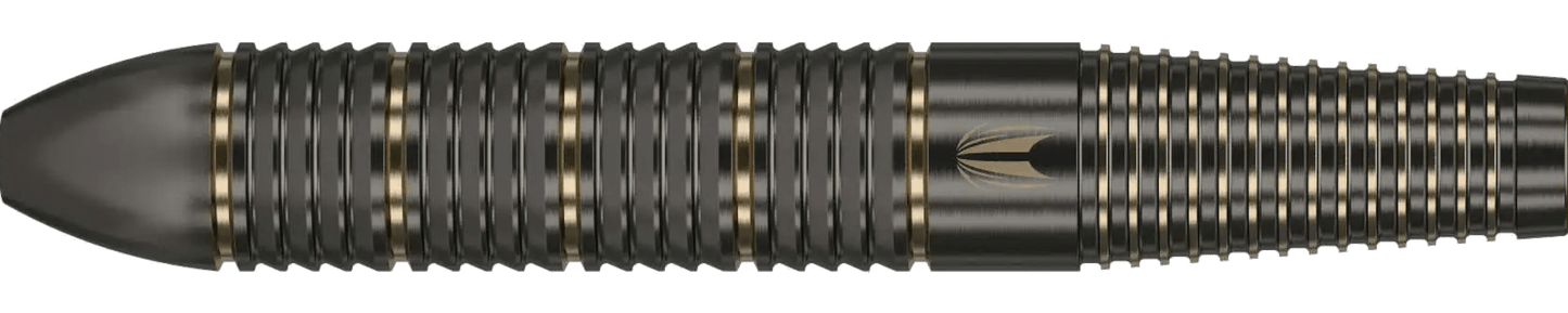 Target Raymond Van Barneveld Steeldart Brass
