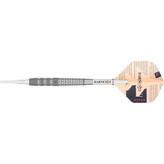 Target Raymond van Barneveld BARNEY25 Softdart 95%