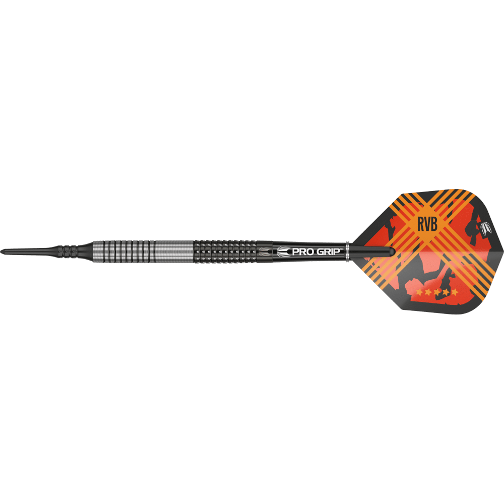 Target Raymond Van Barneveld G3 Softdart 95%