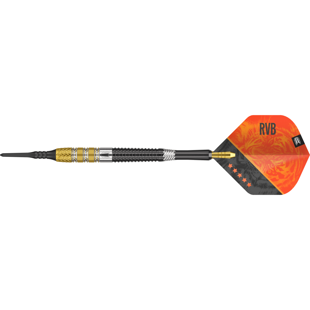 Target Raymond van Barneveld G4 Softdart 95%