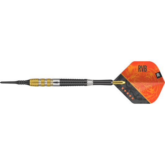 Target Raymond van Barneveld G4 Softdart 95%