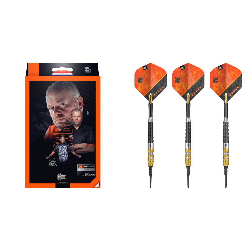 Target Raymond van Barneveld G4 Softdart 95%