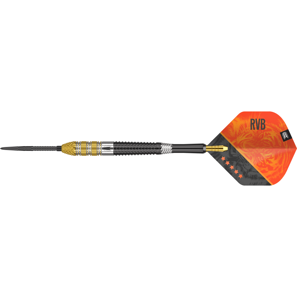 Target Raymond van Barneveld G4 Swiss Point Steeldart 95%