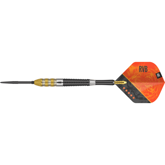 Target Raymond van Barneveld G4 Swiss Point Steeldart 95%