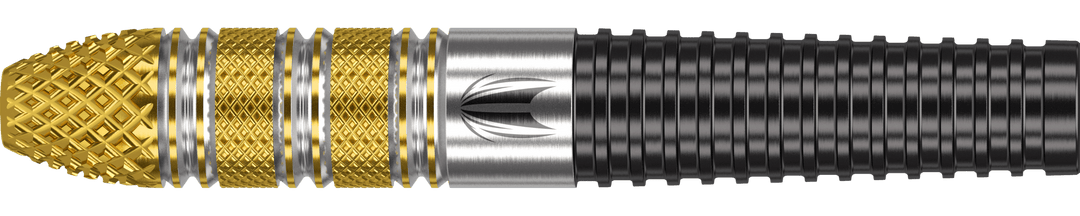 Target Raymond van Barneveld G4 Swiss Point Steeldart 95%