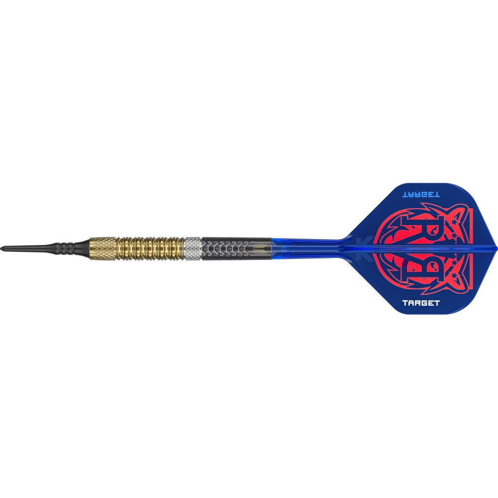 Target Raymond van Barneveld G6 Softdart 95%