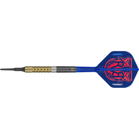 Target Raymond van Barneveld G6 Softdart 95%