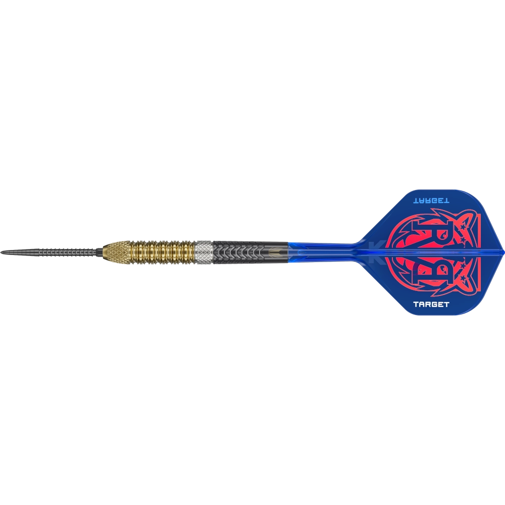 Target Raymond van Barneveld G6 Swiss Point Steeldart 95%