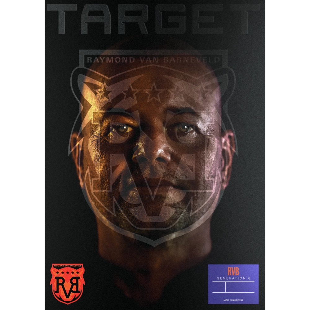 Target Raymond van Barneveld G6 Swiss Point Steeldart 95%