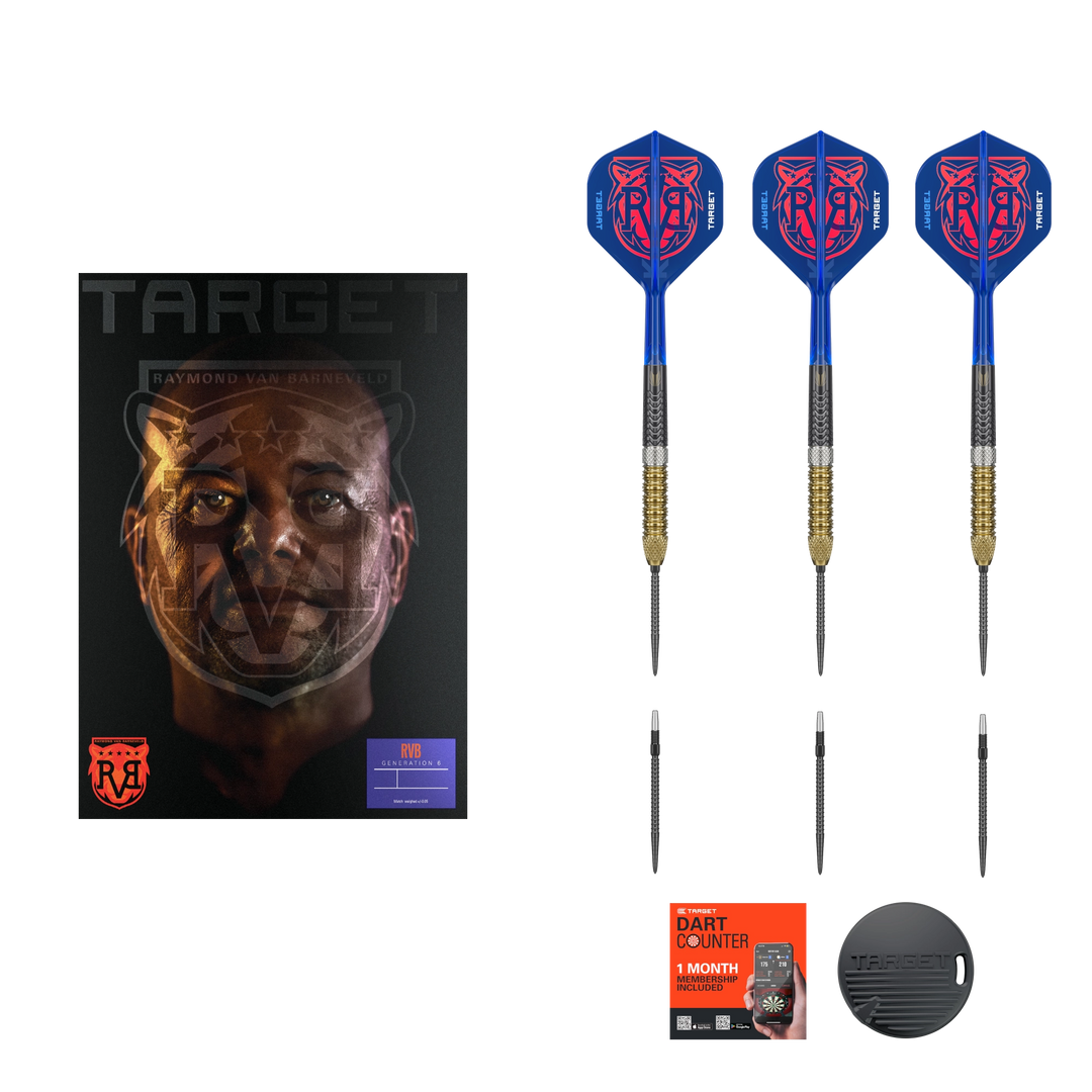 Target Raymond van Barneveld G6 Swiss Point Steeldart 95%