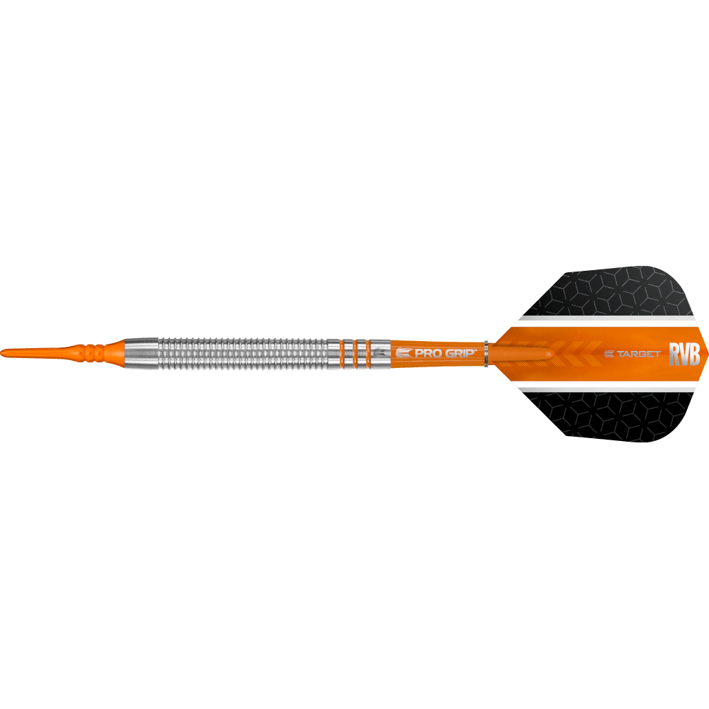Target Raymond Van Barneveld Softdart 80%