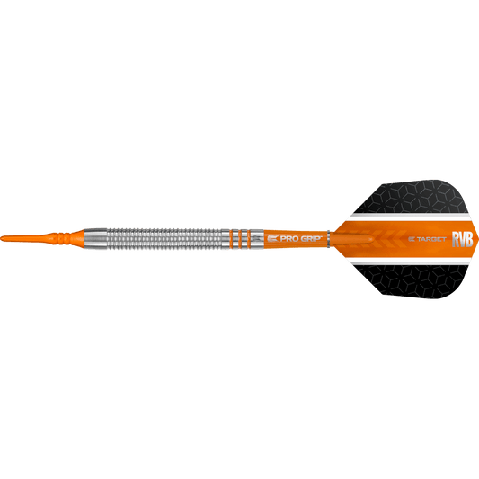 Target Raymond Van Barneveld Softdart 80%