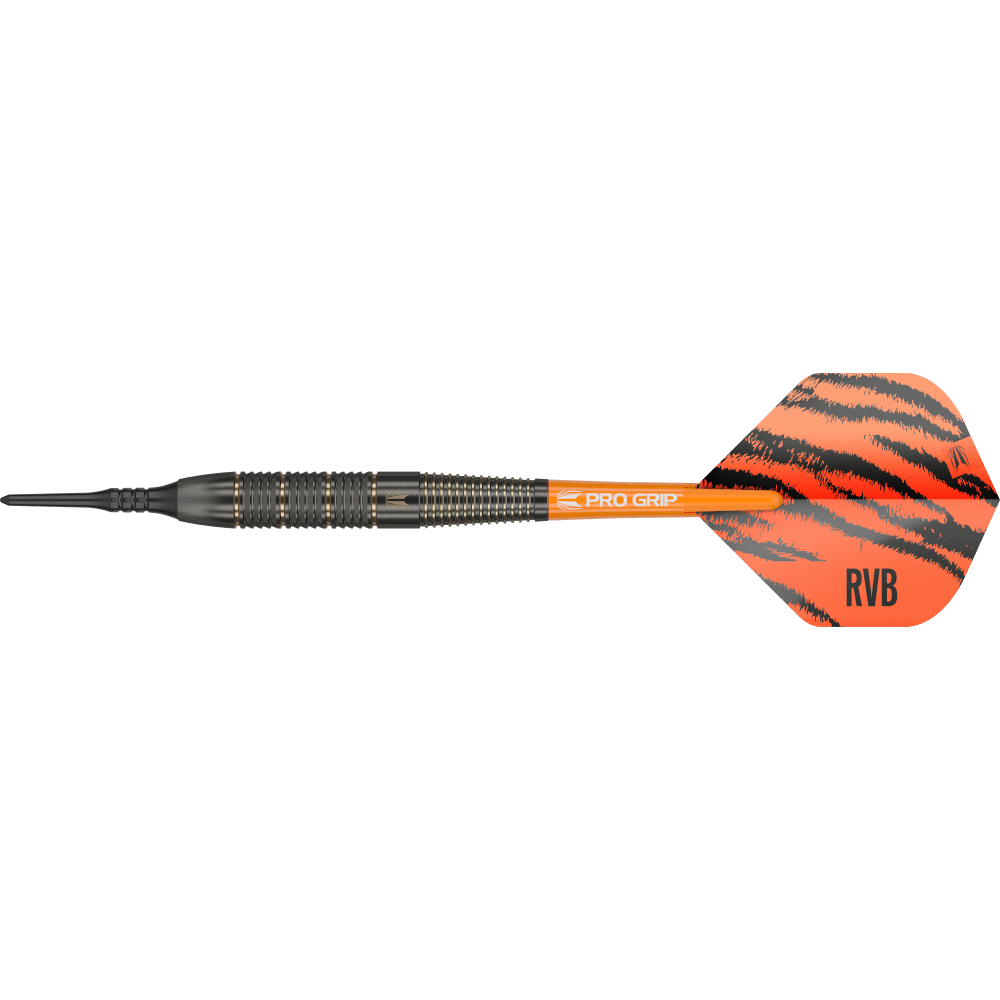 Target Raymond Van Barneveld Softdart Brass