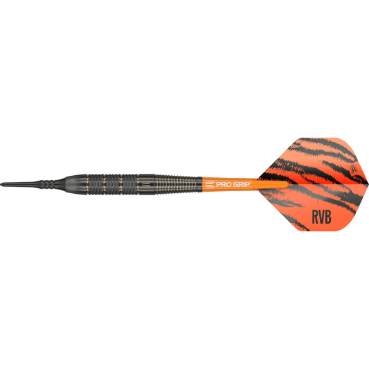 Target Raymond Van Barneveld Softdart Brass